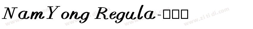 NamYong Regula字体转换